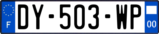 DY-503-WP