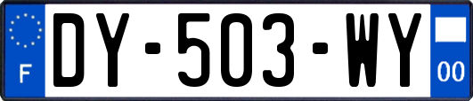 DY-503-WY