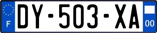 DY-503-XA