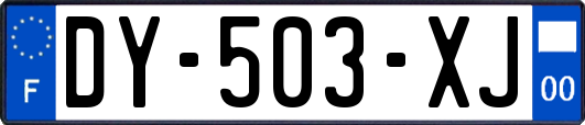 DY-503-XJ