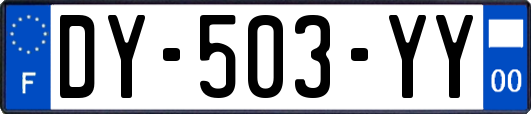 DY-503-YY