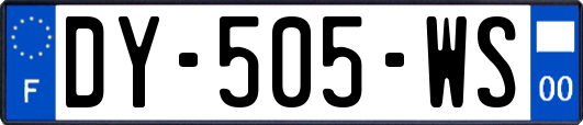 DY-505-WS