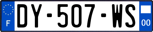 DY-507-WS