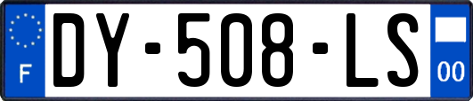 DY-508-LS