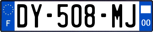 DY-508-MJ