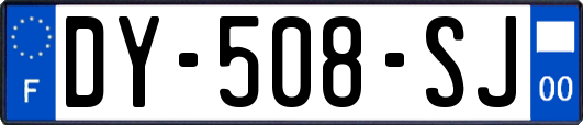 DY-508-SJ