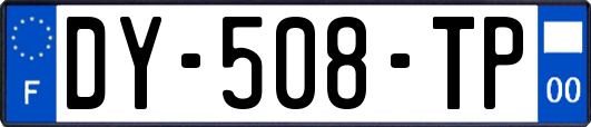 DY-508-TP