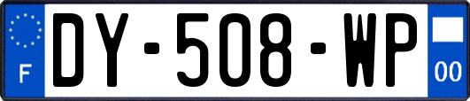 DY-508-WP