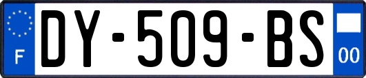 DY-509-BS