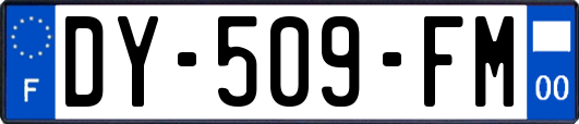 DY-509-FM