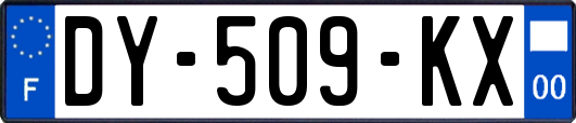 DY-509-KX
