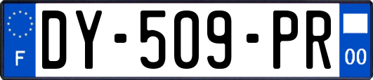 DY-509-PR
