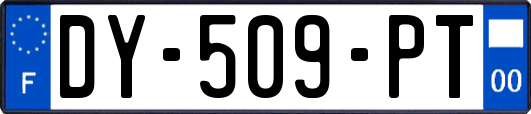 DY-509-PT