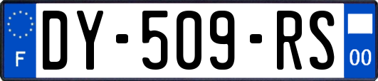 DY-509-RS