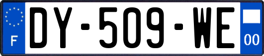 DY-509-WE