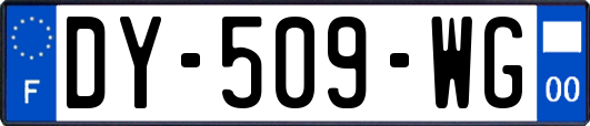 DY-509-WG