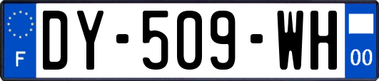 DY-509-WH