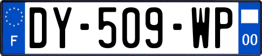 DY-509-WP