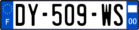 DY-509-WS