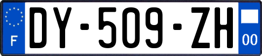 DY-509-ZH