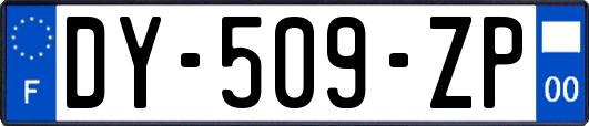 DY-509-ZP