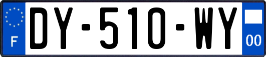 DY-510-WY