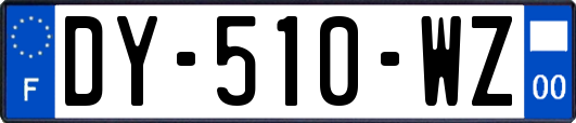 DY-510-WZ