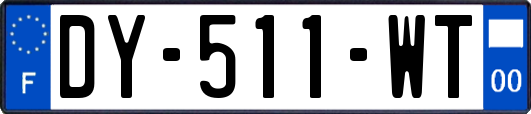 DY-511-WT