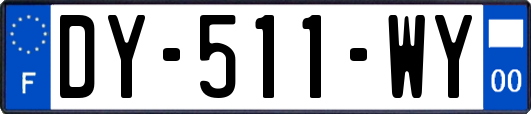 DY-511-WY