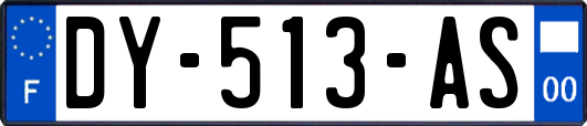 DY-513-AS