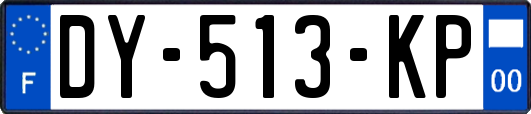 DY-513-KP