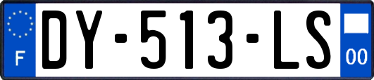 DY-513-LS