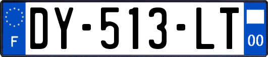DY-513-LT