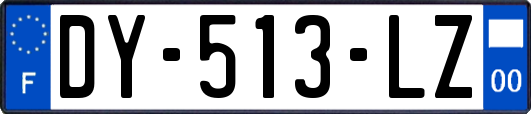 DY-513-LZ