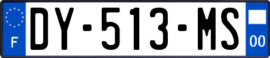 DY-513-MS