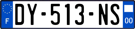DY-513-NS