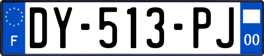 DY-513-PJ