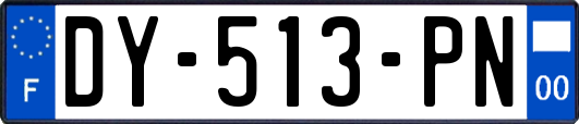 DY-513-PN