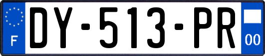 DY-513-PR