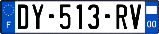 DY-513-RV