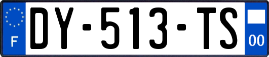 DY-513-TS