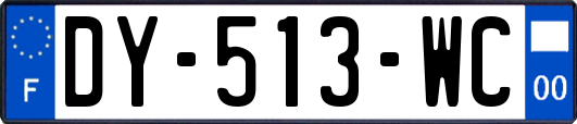 DY-513-WC