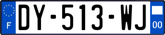 DY-513-WJ