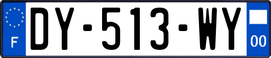 DY-513-WY