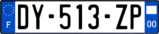 DY-513-ZP