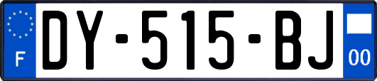 DY-515-BJ