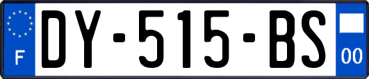 DY-515-BS