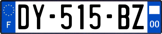 DY-515-BZ