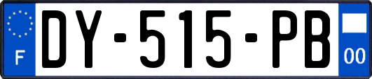 DY-515-PB