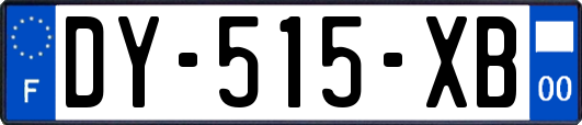 DY-515-XB